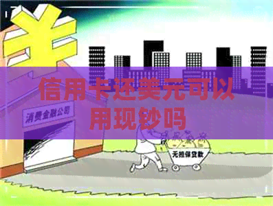 信用卡还美元可以用现钞吗