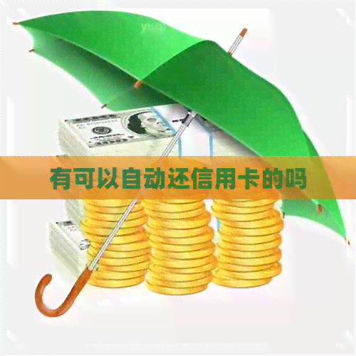 有可以自动还信用卡的吗