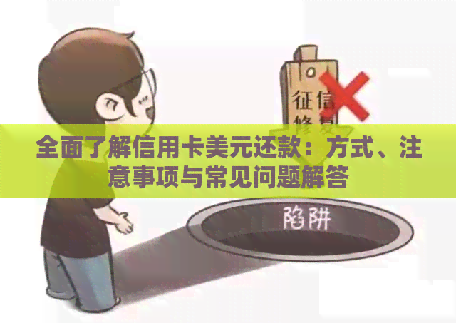 全面了解信用卡美元还款：方式、注意事项与常见问题解答
