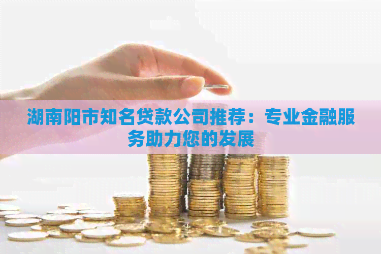 湖南阳市知名贷款公司推荐：专业金融服务助力您的发展
