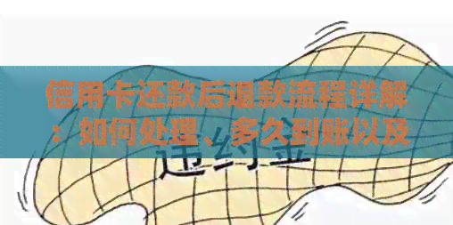 信用卡还款后退款流程详解：如何处理、多久到账以及注意事项