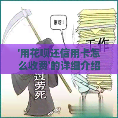 '用信用卡还信用卡怎么收费'的详细介绍及费用分析