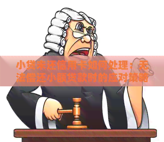 小贷未还信用卡如何处理：无法偿还小额贷款时的应对策略