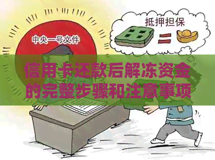 信用卡还款后解冻资金的完整步骤和注意事项