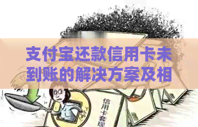 支付宝还款信用卡未到账的解决方案及相关问题解析 支付宝还款信用卡未到账的解决方案及相关问题解析