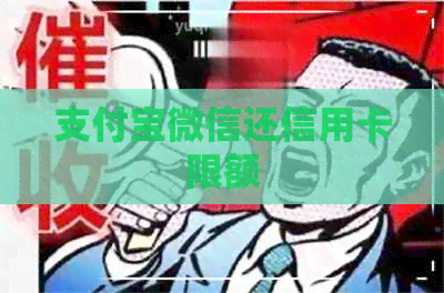 支付宝微信还信用卡限额