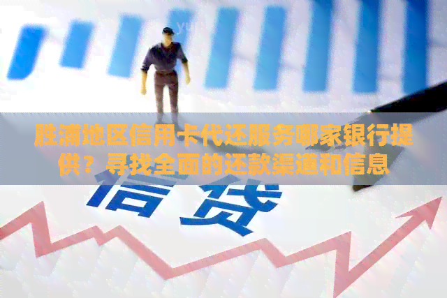 胜浦地区信用卡代还服务哪家银行提供？寻找全面的还款渠道和信息