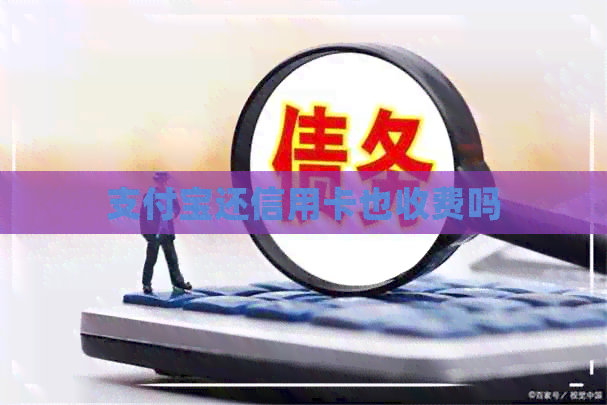 支付宝还信用卡也收费吗