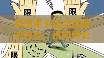 新信用卡还款逾期未到账，该如何处理？
