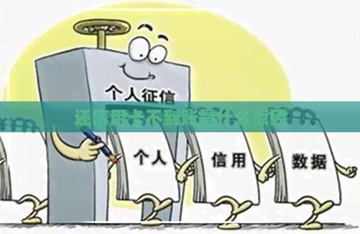 还信用卡不到账是什么原因