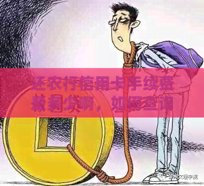 还农行信用卡手续费是多少啊，如何查询和计算？