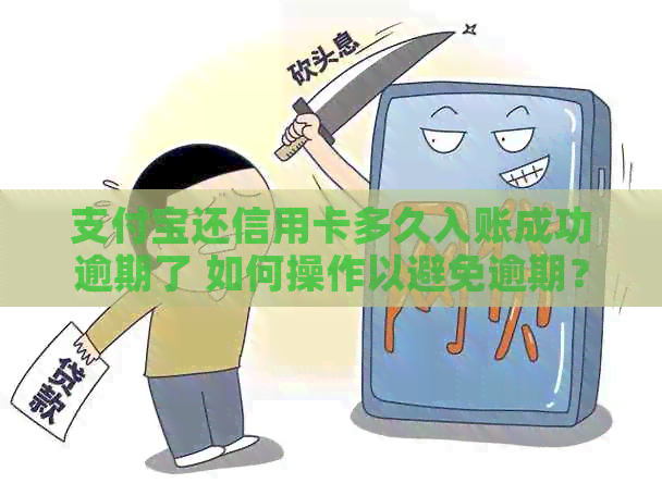 支付宝还信用卡多久入账成功逾期了 如何操作以避免逾期？