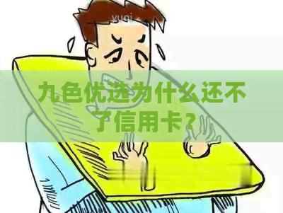 九色优选为什么还不了信用卡？