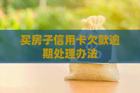 买房子信用卡欠款逾期处理办法
