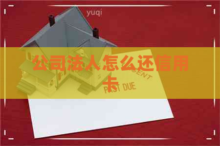 公司法人怎么还信用卡