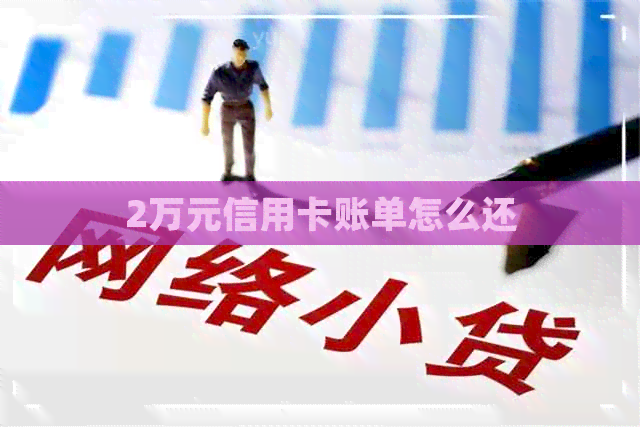 2万元信用卡账单怎么还