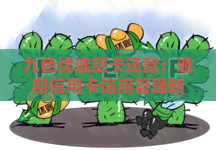 九色优选空卡还款：逾期信用卡信用管理新方案