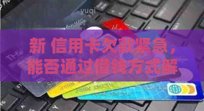 新 信用卡欠款紧急，能否通过借钱方式解决？