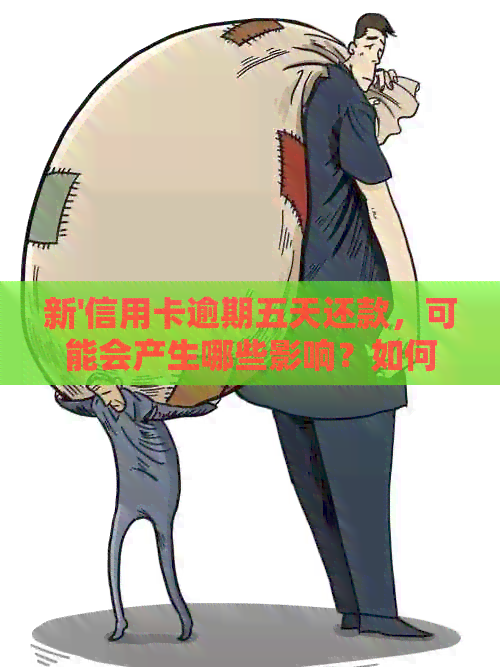 新'信用卡逾期五天还款，可能会产生哪些影响？如何避免信用受损？'