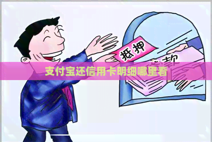 支付宝还信用卡明细哪里看