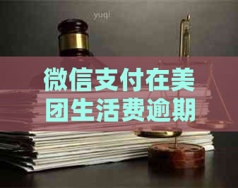 微信支付在美团生活费逾期还款中的应用与操作指南