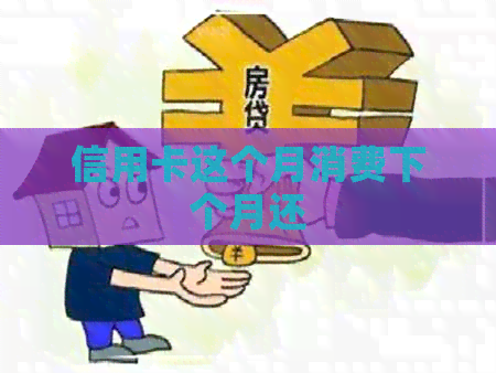 信用卡这个月消费下个月还