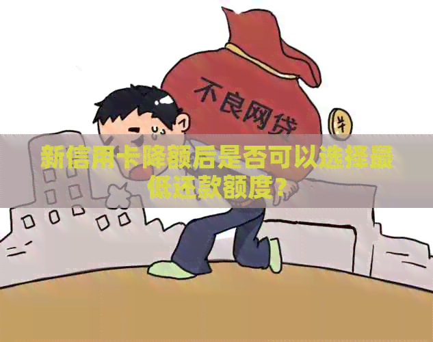 新信用卡降额后是否可以选择更低还款额度? 新信用卡降额后是否可以选择更低还款额度?