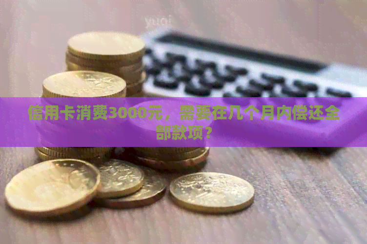 信用卡消费3000元，需要在几个月内偿还全部款项？