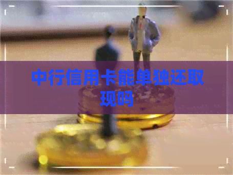中行信用卡能单独还取现吗