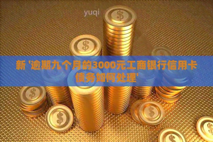 新 '逾期九个月的3000元工商银行信用卡债务如何处理'