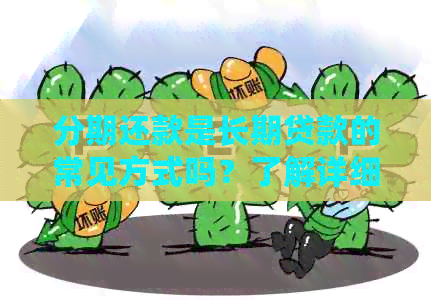 分期还款是长期贷款的常见方式吗？了解详细的分期还款条件和可能性