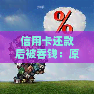 信用卡还款后被吞钱：原因、解决方法及影响分析