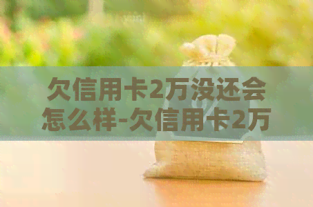 欠信用卡2万没还会怎么样-欠信用卡2万没还会怎么样吗