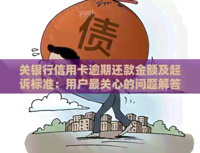 关银行信用卡逾期还款金额及起诉标准：用户最关心的问题解答
