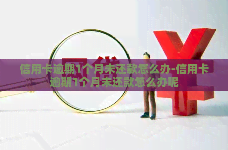 信用卡逾期1个月未还款怎么办-信用卡逾期1个月未还款怎么办呢