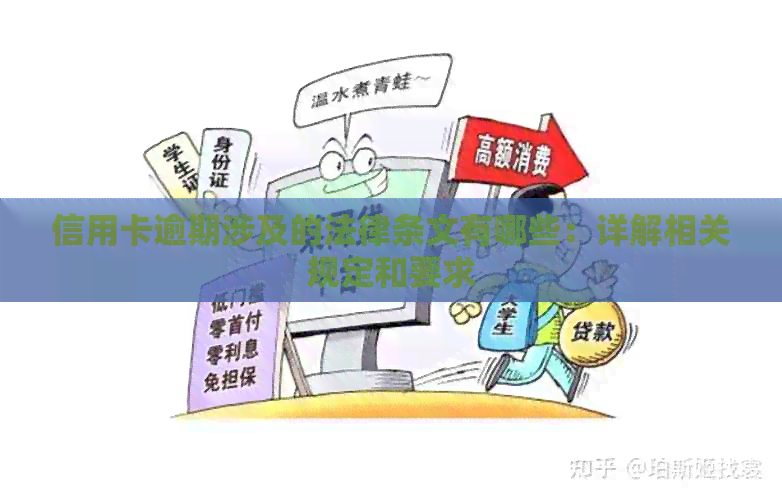 信用卡逾期涉及的法律条文有哪些：详解相关规定和要求