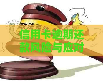 信用卡逾期还款风险与应对策略：会不会上门？