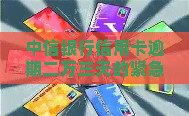 中信银行信用卡逾期二万三天的紧急处理策略：如何避免进一步损失？