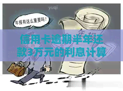信用卡逾期半年还款3万元的利息计算与解决方案