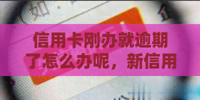 信用卡刚办就逾期了怎么办呢，新信用卡逾期的后果及解决方法