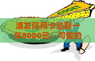 浦发信用卡逾期一年8000元：可能的诉讼和解决策略全面解析