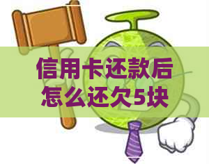 信用卡还款后怎么还欠5块