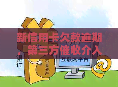 新信用卡欠款逾期，第三方介入如何应对？