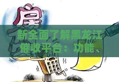 新全面了解黑龙江平台：功能、流程、案例及常见问题解答