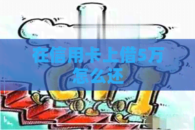 在信用卡上借5万怎么还