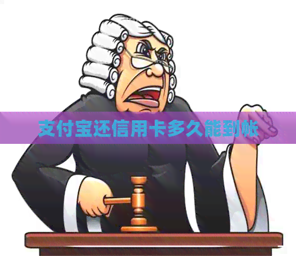支付宝还信用卡多久能到帐