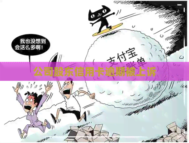 公司股东信用卡逾期被上诉
