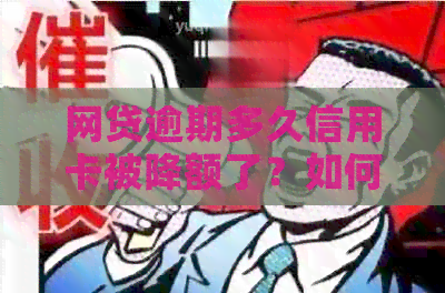 网贷逾期多久信用卡被降额了？如何恢复信用及记录更新时间是关键。