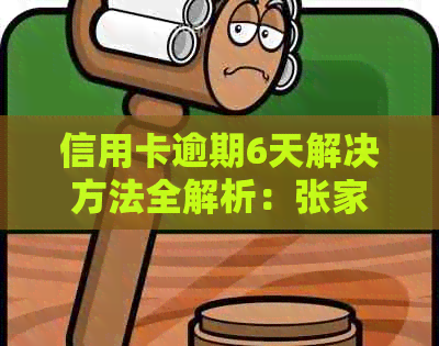 信用卡逾期6天解决方法全解析：张家口用户必看指南