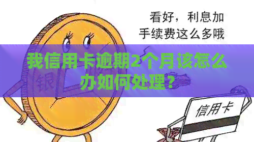 我信用卡逾期2个月该怎么办如何处理？